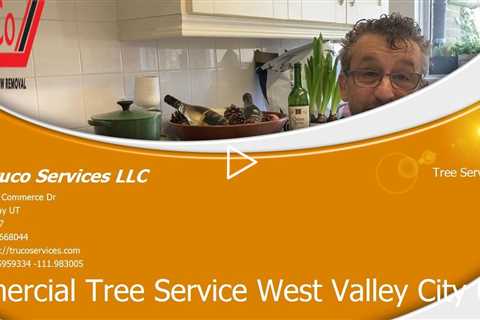 Tree-Services-Syracuse-Utah