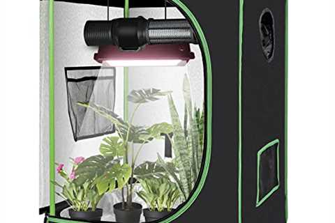 JungleA Hydroponic Grow Tent Kit with Observation Window and Floor Tray for Home Plant Growing..
