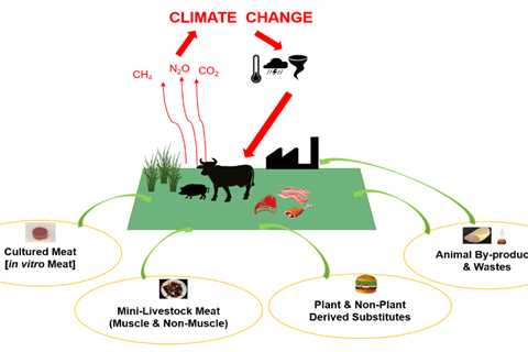Organic Meat and Poultry and Local Food Systems