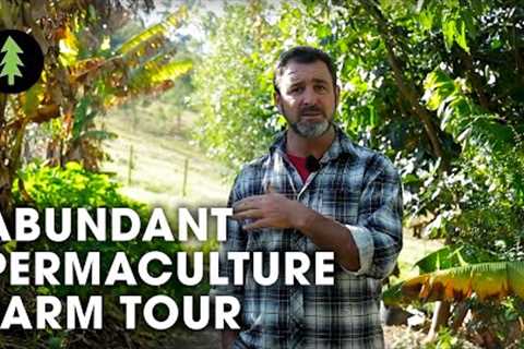 Beautiful 1-Acre Small Scale Permaculture Property | Limestone Permaculture Farm Tour