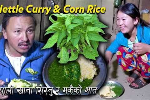 Nepali tasty food Nettle curry with Corn Rice (Sisnu & Thepla) cooking & eating in my..