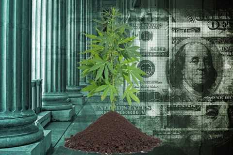 True or False - The SAFE Banking Act Has the 10 Republican Votes Needed to Pass the Cannabis..