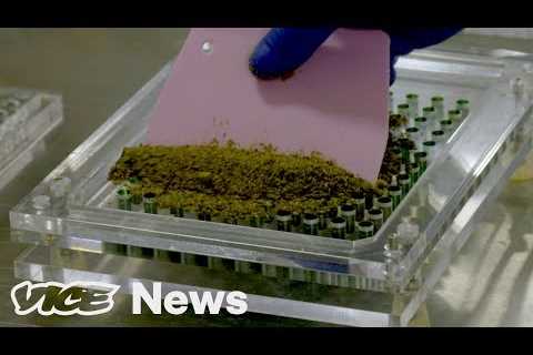 Is Microdosing The Future of Marijuana?