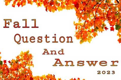 YouTube Fall Tag: 🍂🍁 Autumn Q & A 🍁🍂 ~2023~ (Non Yankee Candle / Bath & Body Works..