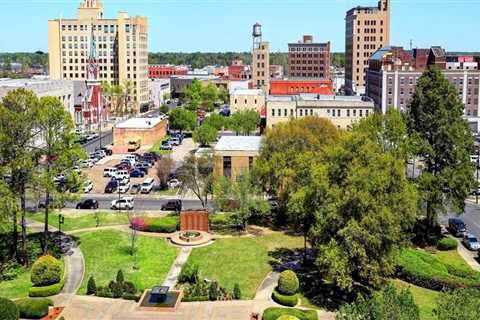 What are the Most Pressing Health Issues in Monroe, Louisiana?