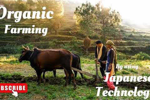 Organic Farming Unveiled: Exploring Japanese Agricultural Technology for Sustainable Growth