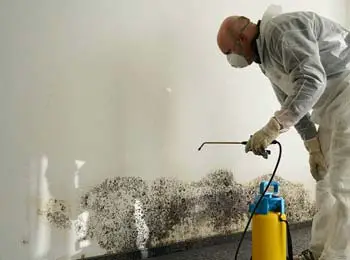 Water And Mold Mitigation