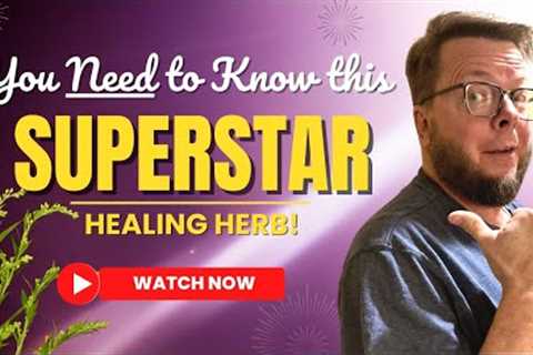 Artemisia annua - The Superstar Healing Herb