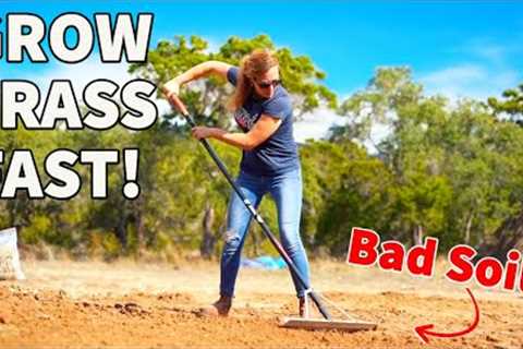 How to Grow Grass from Seed and Fix Bare Spots