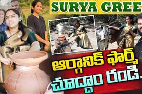 Surya Green Natural Organic Farming | Anantha Laxmi | Netra Reddy | Vamsee Krishna Reddy | Red Tv