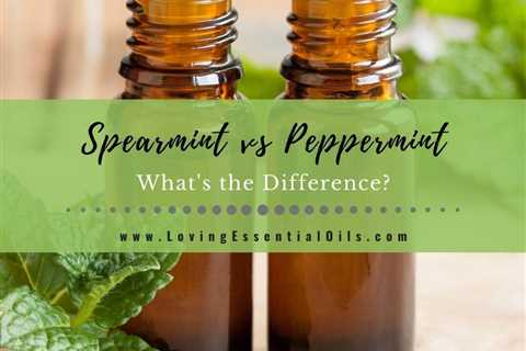 Spearmint vs Peppermint Essential Oil - What's the Difference?