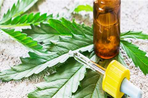 Hemp Oil vs CBD Oil: What's the Difference?