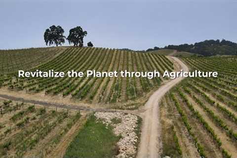 Revitalize the Planet through Agriculture, a documentary Project, the Vision
