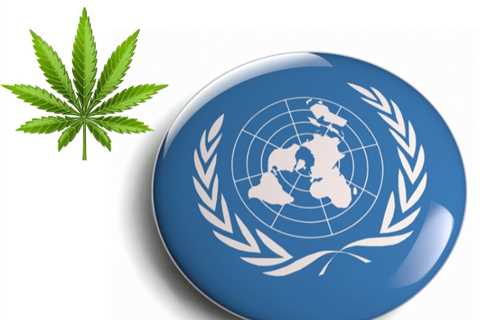 The UN Issues Warning To U.S. Over State-Legal Cannabis