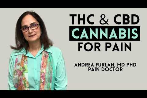 Cannabinoids and Cannabis for chronic pain by Dr. Andrea Furlan MD PhD