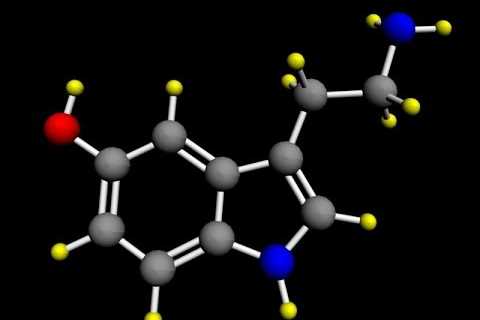 5-HTP – Reviews, Facts & Warnings – by Dr Sam Robbins