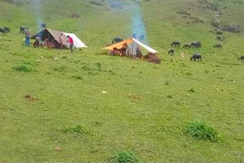 Organic Nepali Mountain Village Life In Nepal🇳🇵||ep-9||Buffalo Herders Life In Mountain ||Rural..