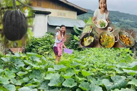 Harvesting Pumpkin and Organic veggies🥬 from Kitchen garden for Lunch| Easy and Healthy Food🍲🥘 |