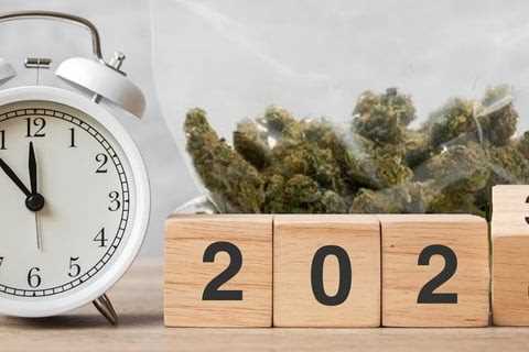Is It Still Worth Getting a Medical Marijuana Card in 2024?