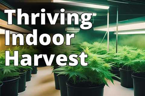 Indoor Marijuana Gardening 101: Everything You Need to Know