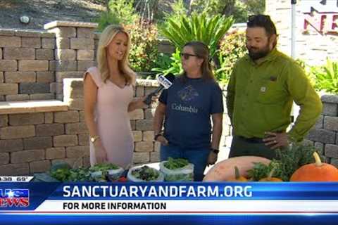 San Diego Animal Sanctuary & Farm Reveals New Organic Garden