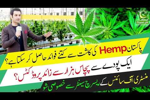 One plant, 50,000 products? Hereâs how Hemp farming will benefit Pakistan