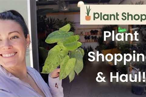 What Kind Of Plant Is THIS??!! Plant Shopping & Plant Haul - Plant Shop With Me - Michigan