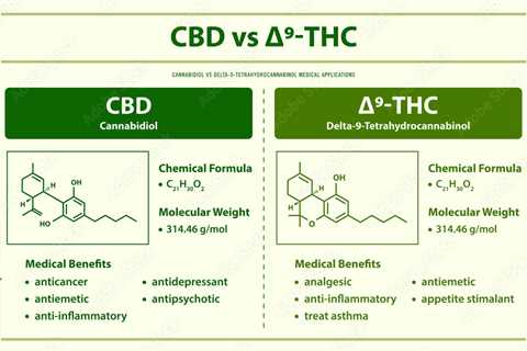 Cbd Vs Delta 9: Which Is Best In 2023?