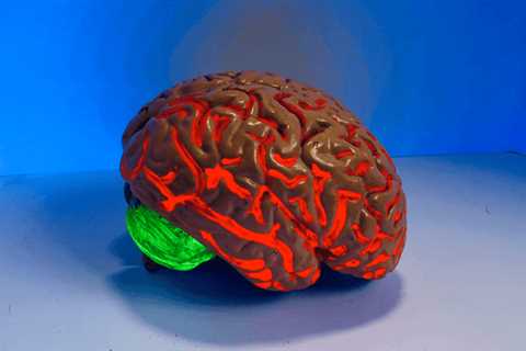 Body Mass Index (BMI) and The Adolescent Brain