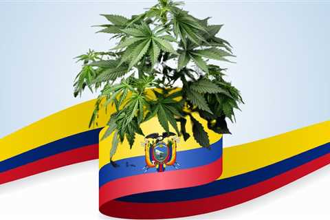 Colombian Gold - The King of Landrace Strains That Carries a Famous History