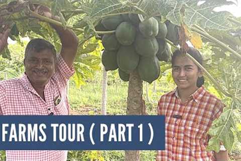 i Farms Tour | Part 1 | Organic Farmer Ranga Prasad Garu | Nethra