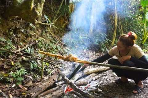 The process of picking and harvesting medicinal herbs in the tropical forest - Lý Mai Farmer