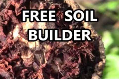 FREE GARDEN SOIL BUILDING USING THIS