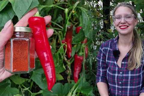 Grow Your Own Paprika Spice (How to Make Paprika from Peppers)