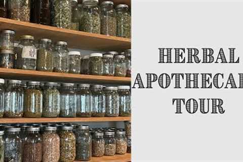 My Herbal APOTHECARY TOUR || Herbs I Use For Our Family & Herbal Business