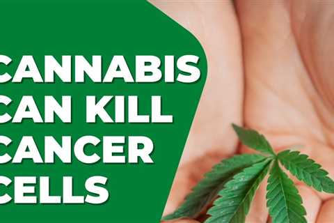 And it's not just limited to one type of cancer either - cannabis has shown…