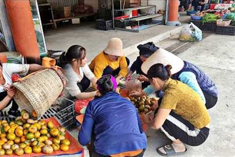 Harvest the Tangerine Garden, bring it to the market to sell, and clean the house