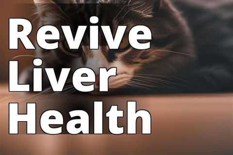 Unlocking the Potential: How CBD Oil Boosts Liver Health in Cats