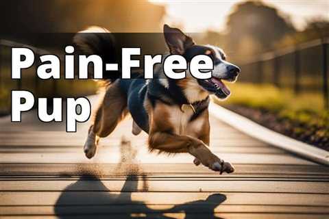 Relieve Joint Pain in Dogs with CBD Oil: A Complete Guide