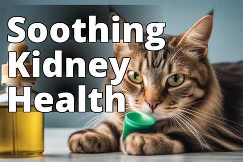 The Ultimate Solution for Improving Kidney Health in Cats: CBD Oil
