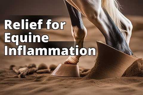 Discover the Magic: How CBD Oil Soothes Inflammation in Horses