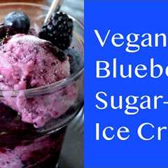 Ice Cream Vegan No Sugar Plant-Based Low Fat Raw Vegan Desserts Blueberry Ice Cream