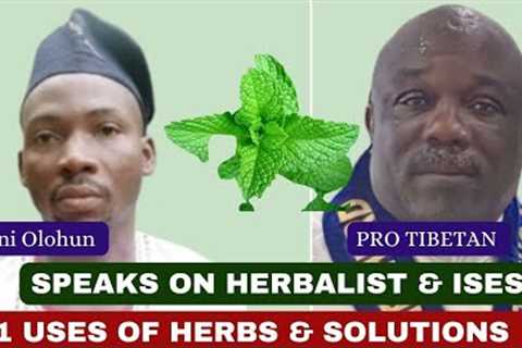 Just In: How Herbalist Solve Problem || Prophet Tibetan Revealed Secrets About CCC ||  Isẹse