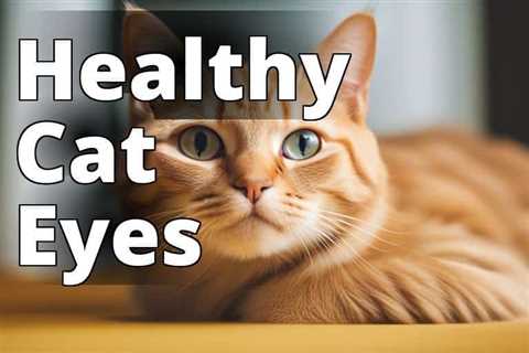 Boost Your Cat’s Well-being: The Amazing Benefits of CBD Oil for Urinary Tract Health in Cats