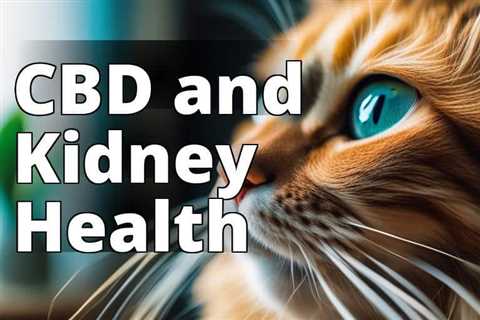 Boost Your Cat’s Kidney Health with CBD Oil: A Complete Guide