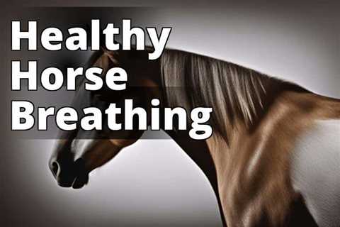 Discover the Remarkable Benefits of CBD Oil for Respiratory Health in Horses