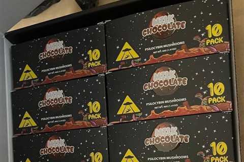 Mushroom chocolate bars available in bulk  ✅✅✅ https://t.co/lp3pIefBsL