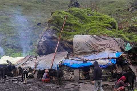 This is Himalayan Life । Nepal ।Ep-196। Himalyan Shepherd Life Nepal |Organic Food Cooking |Village