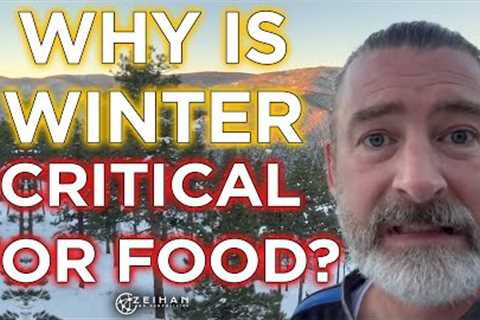 The Geopolitics of Winter: Snows Impact on Agriculture || Peter Zeihan