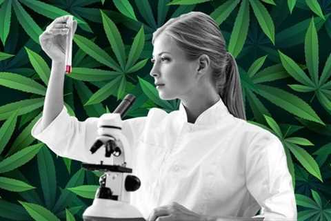 Federal Scientists Acknowledge Weed's Medicinal Benefits, Yes, It Meets the Criteria for..